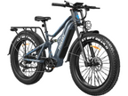 Swift Horse Ultra X-6E